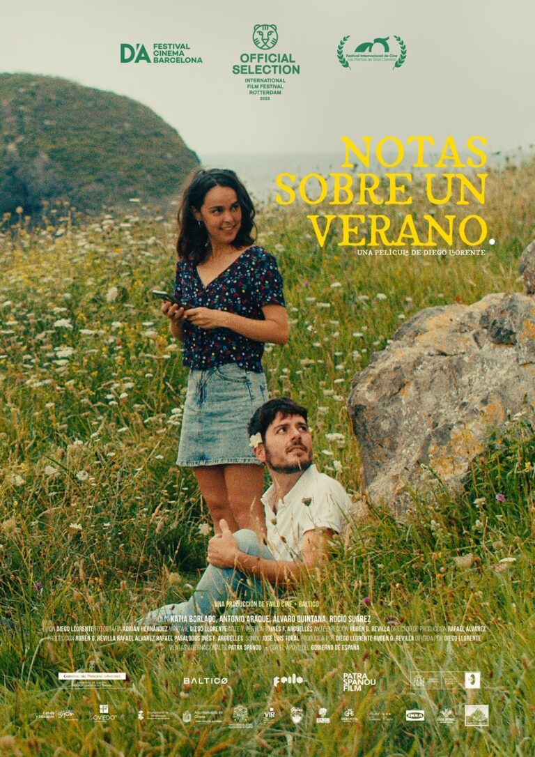 Cartel de Notas sobre un verano