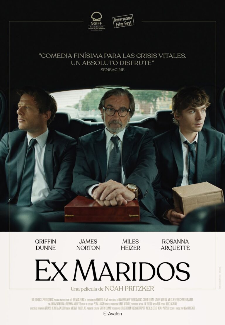 Cartel de Ex Maridos
