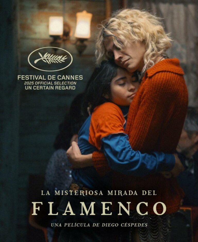 Cartel de La Misteriosa Mirada del Flamenco