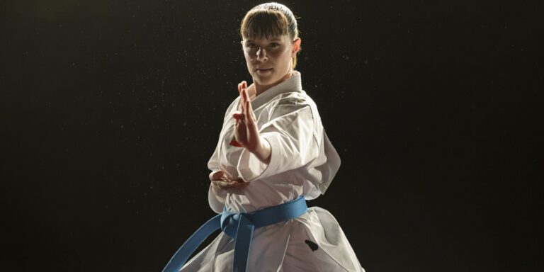 Cartel de Karateka