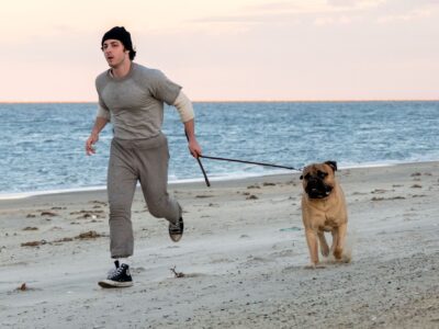 Llega al cine la historia sobre cómo Sylvester Stallone desafió a la industria y se convirtió en leyenda
