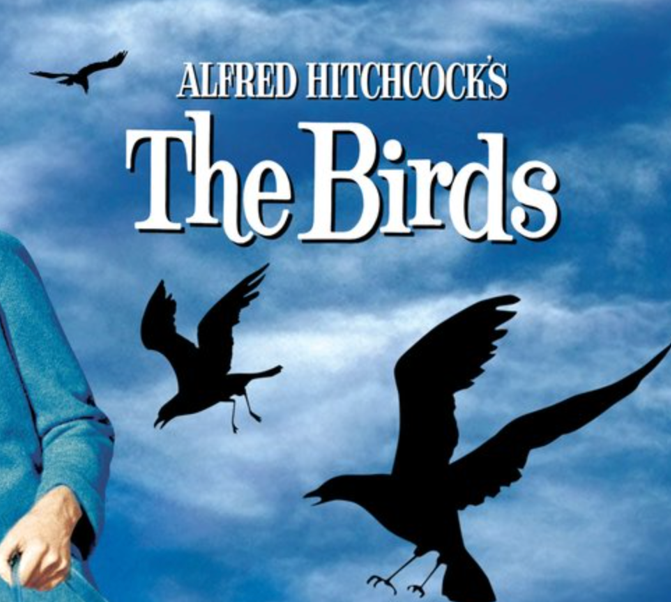 Los Pájaros vuelven a sembrar el terror