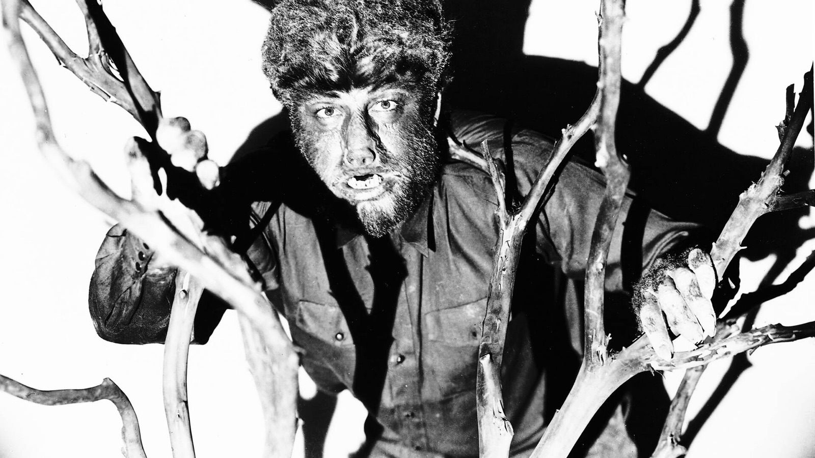 Lon Chaney Jr. caracterizado como el Hombre Lobo entre ramas secas